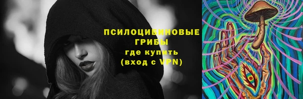 ПСИЛОЦИБИНОВЫЕ ГРИБЫ Мегион
