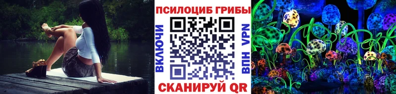 Псилоцибиновые грибы мицелий  KRAKEN ссылка  Заозёрный 